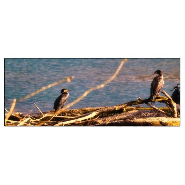 PHOTO84, CLUB, 84 , LUBERON